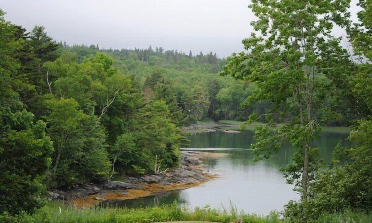 Cherryfield House | Cherryfield Trails Retreat: Dog Friendly Riverfront with Trails at Your Door
