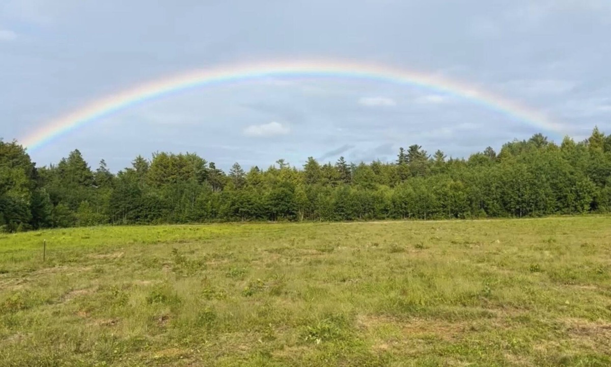 Franklin House | Connect with nature - Tranquil Downeast Escape, Near Acadia & Sunrise Trail
