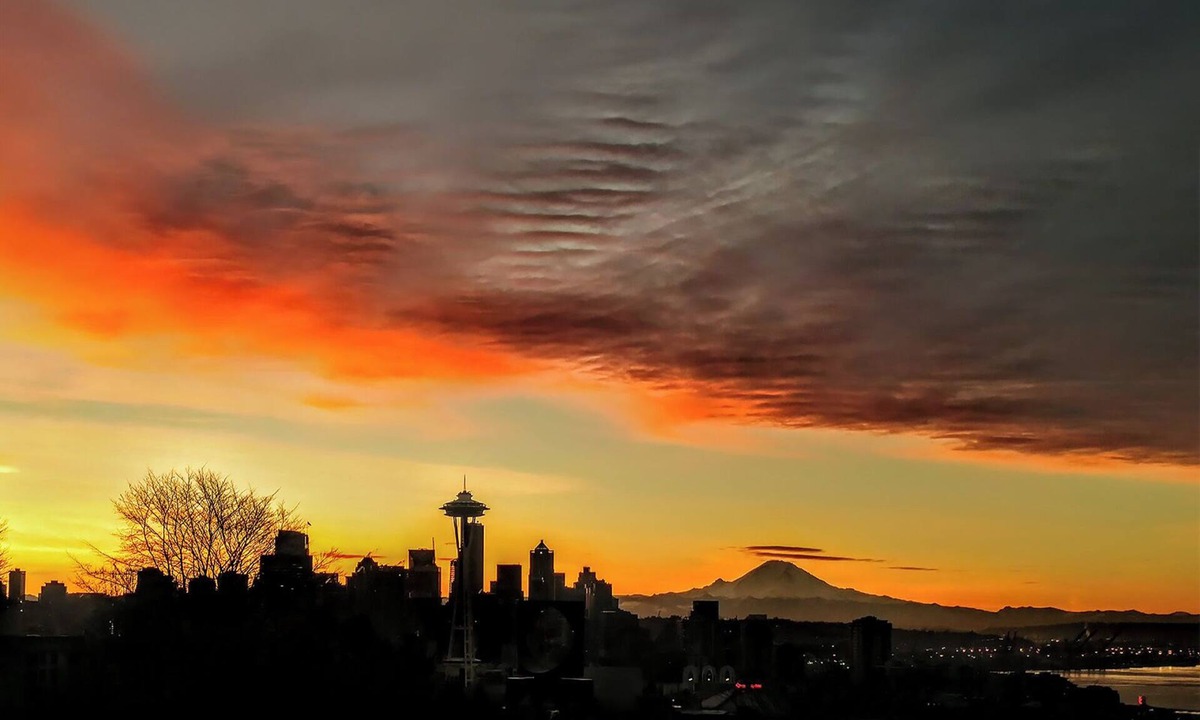 Lower Queen Anne House | Panoramic Skyline View ll Luxury Residence