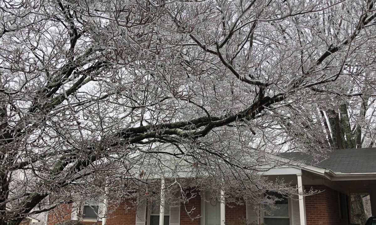Greensboro House | Sweet Haven - Serene 3BR Family Retreat - Trees, Trails, Convenient Location