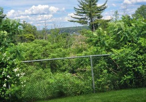 Cute 2 bdrm Condo walking distance to Weirs Beach!