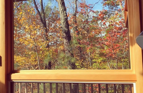 Brevard Cabin | 180° Epic View Cabin, 10 Min to Brevard & Pisgah