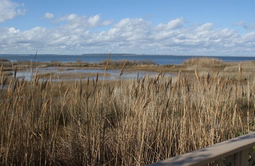 Midtown Ocean City Condo | Bay Front Condo w/Pool One Block from the Beach!