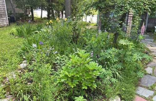 Gray Cottage | Charming lakefront cottage 20min to Portland