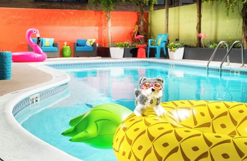 University District Hotel | Charming Room with Fun Tropical Decor Short Walk from Univ. of Washington