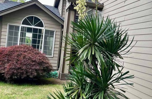 Beaverton House | Cozy 3BR Home in Beaverton - Near Nike - Pet-Friendly