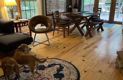 Pisgah Forest Cottage | Cozy and fun mountain-view cottage 10 mins from shopping and hiking