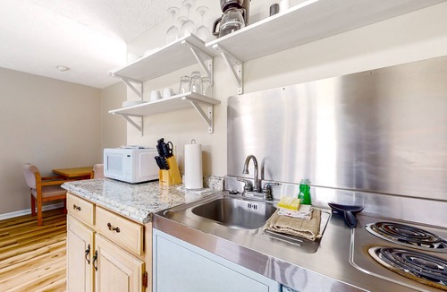 Baneberry Apartment | Dog-friendly, 1st-floor studio with picnic area, patio, fitness room & game room