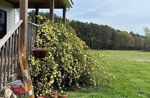 Macon House | Quiet Country Getaway 10 minutes from Lake Gaston