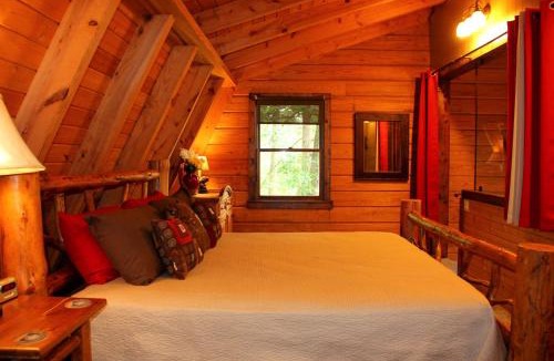 Clyde House | Rustic-Modern Log Cabin Getaway: Family-Friendly, Quiet Ranch, Wildlife at Your Door in Clyde, North Carolina