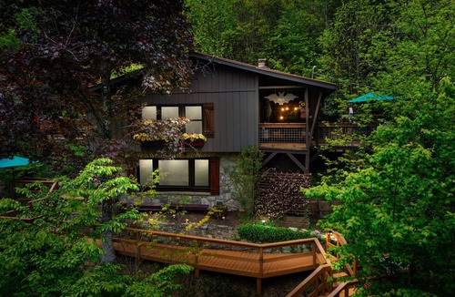 Skyland Cabin | Sensational Waterfall Retreat- Hot Tub, Family/Pet Friendly near Asheville
