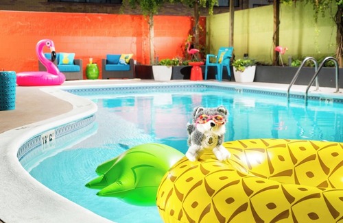 University District Hotel | Spacious King Suite, Tropical Welcome, Staypineapple, Easy UW Access