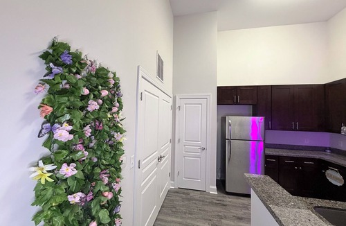 Charlotte Apartment | Stylish Modern Studio, Steps from Dining & Entertainment