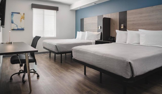 Accommodation Perfect for Family with Dogs | Free Parking + BBQ Facility