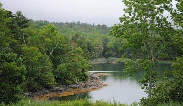 Cherryfield Trails Retreat: Dog Friendly Riverfront with Trails at Your Door