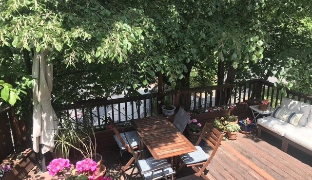 Comfortable Cambridge home with deck in walkable family neighborhood in Cambridge