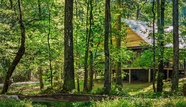 Desoto Falls; Hiking; Mentone; Lookout Mtn; Hot tub, No Pet Fee-1 pet-