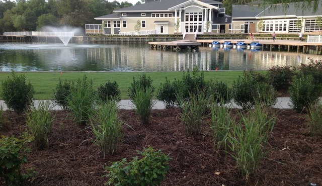 Diamond Resorts. one bedroom, one pull out queen couchone bath, sleeps 4 adults.
