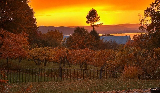 Hudson Valley Fall Escape · 50min to NYC · 3 Acre