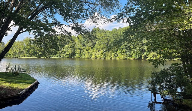 Location-Location-Location and Pet Friendly