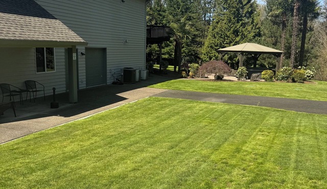 Moonstruck Compound: Daylight basement in peaceful wine country in Newberg
