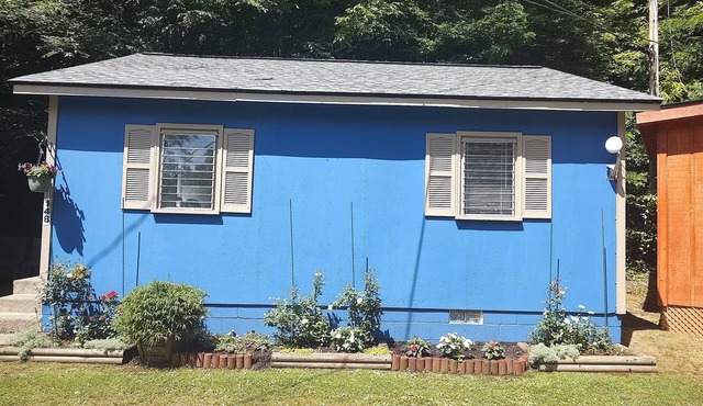 Quaint cabin with beautiful surroundings and close to Franklin pet friendly