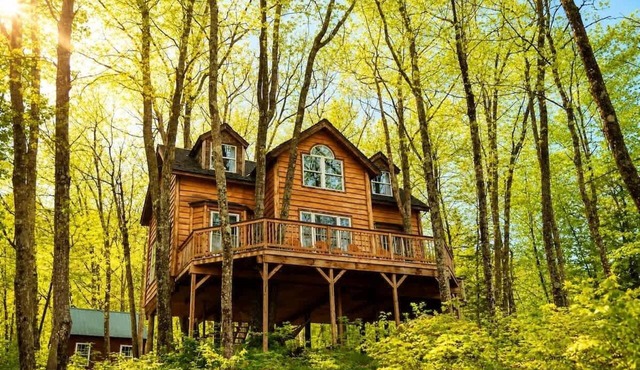 Real Treehouse Adventure | Rustic meets Luxury