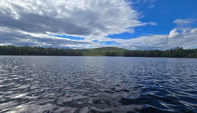 Relaxing Maine Woods Cabin on a Pond-Dog Friendly!