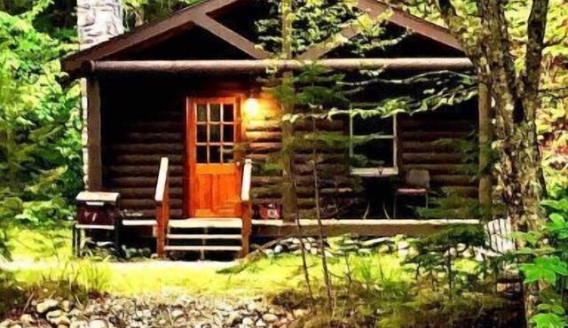 Rustic Log Cabin #6 - "Fireside"