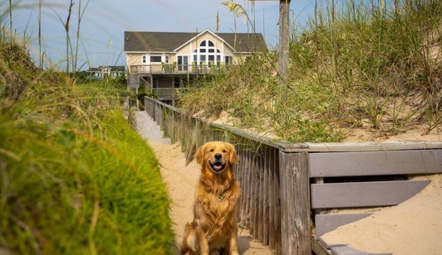 Sandy Paws 6BR Oceanfront 4x4 Free pool heat for open SEPT weeks!