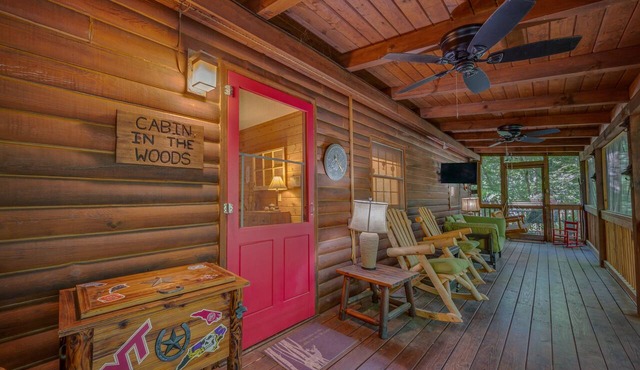 Secluded Lake Lure Cabin-Dogs OK-Resort Access