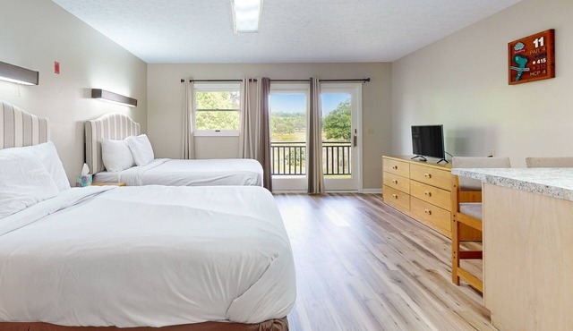 Second-floor, dog-friendly studio with quiet views & gym - walk to Douglas Lake