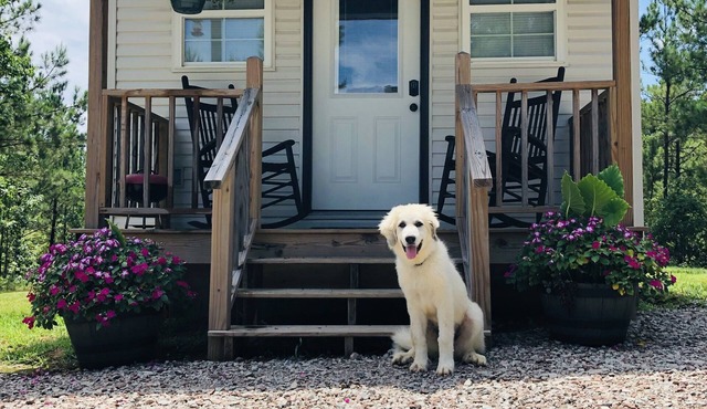 Tiny house/sleeps 4 in Finger