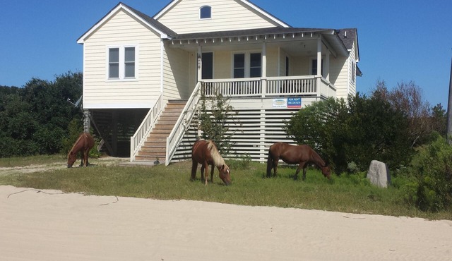 Unique Home In 4x4 Area Of Corolla where beaches are ranked #4 in America!