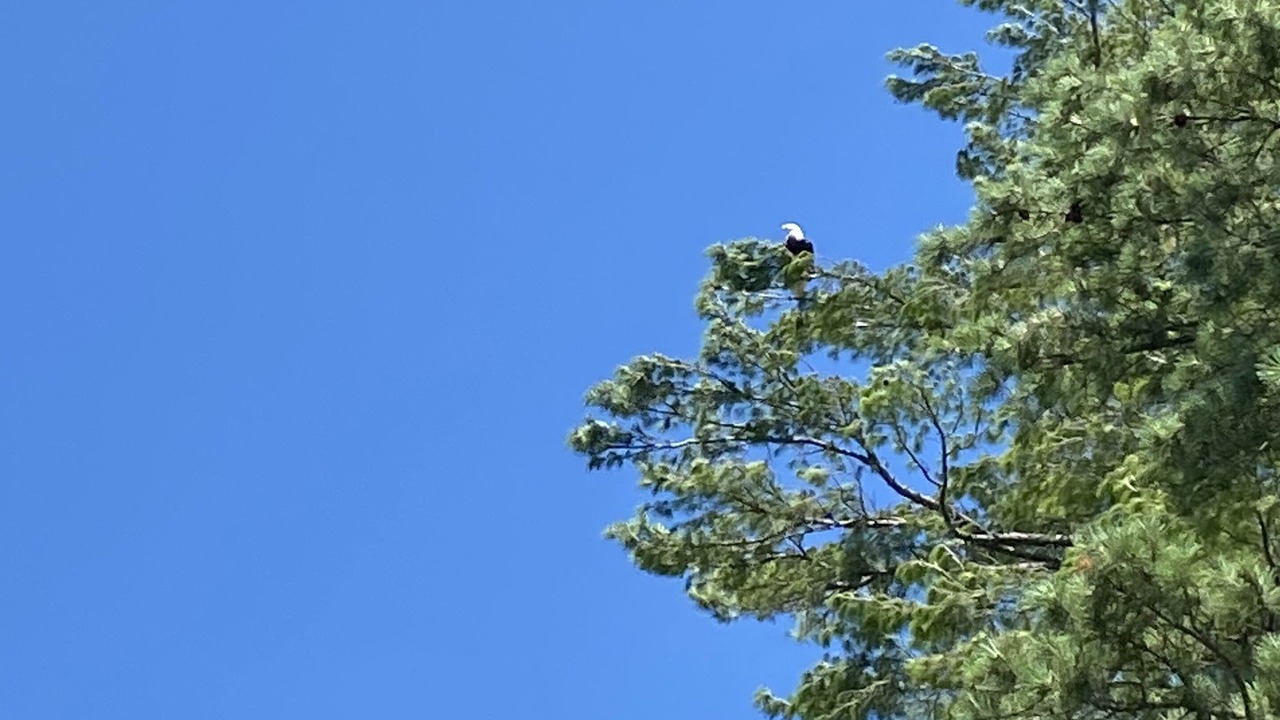 Photo of Outdoor in Gray