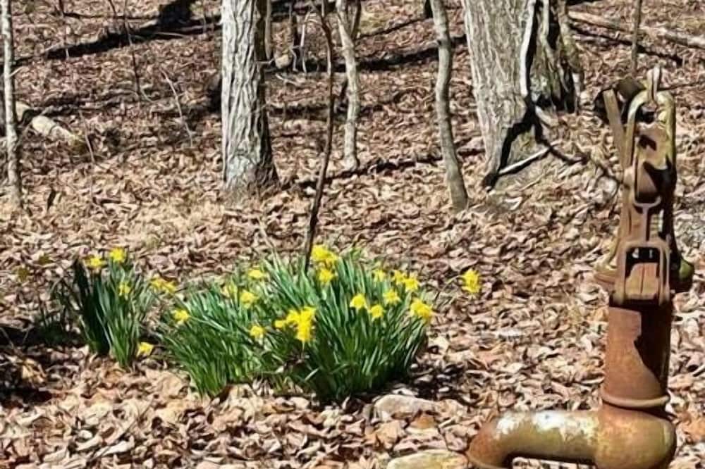 Photo of Others in Mentone