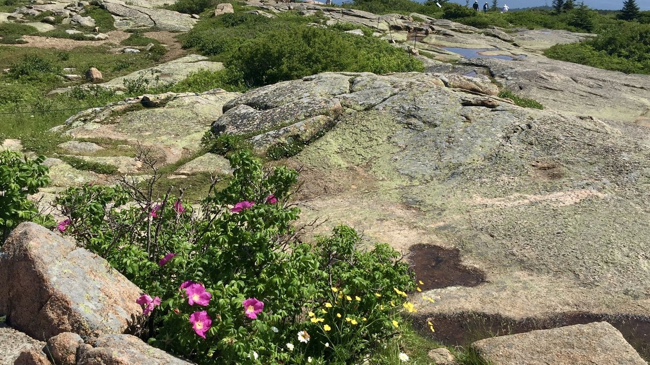 Photo of Outdoor in Gouldsboro