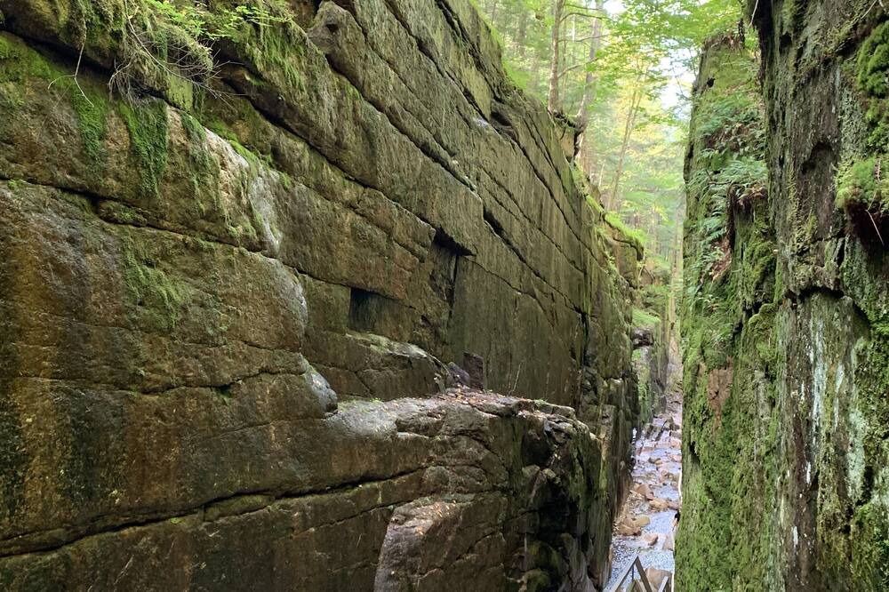Photo of Others in Carroll