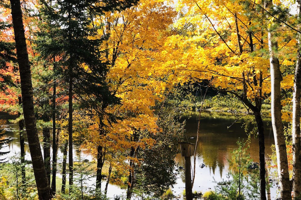 Photo of Outdoor in Masardis