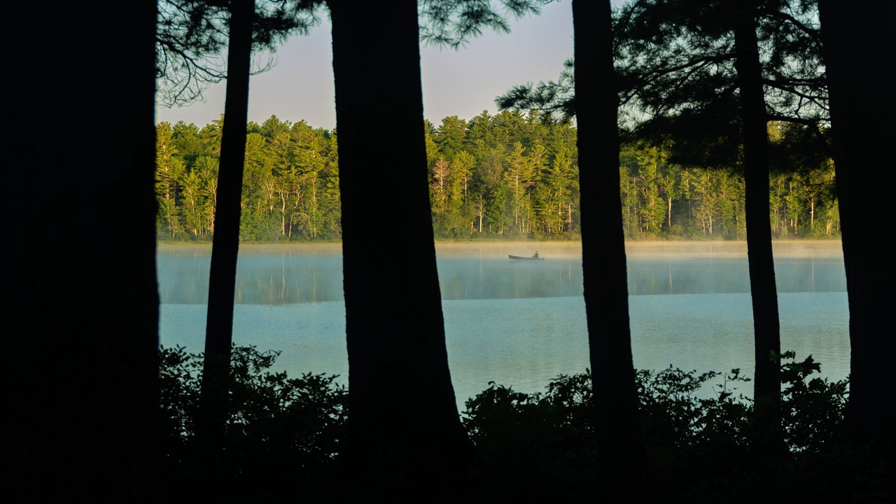 Photo of Outdoor in West Poland