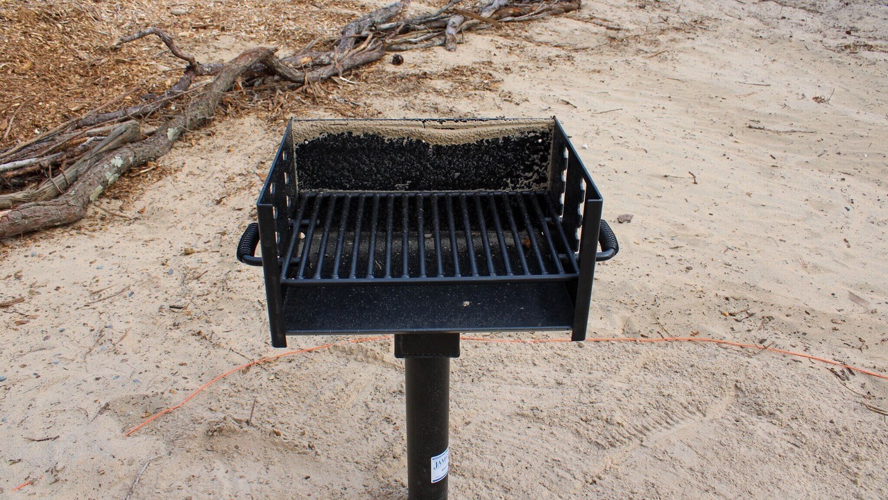 Photo of Outdoor in Carova Beach