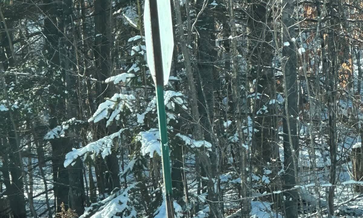 Photo of Others in North Penobscot