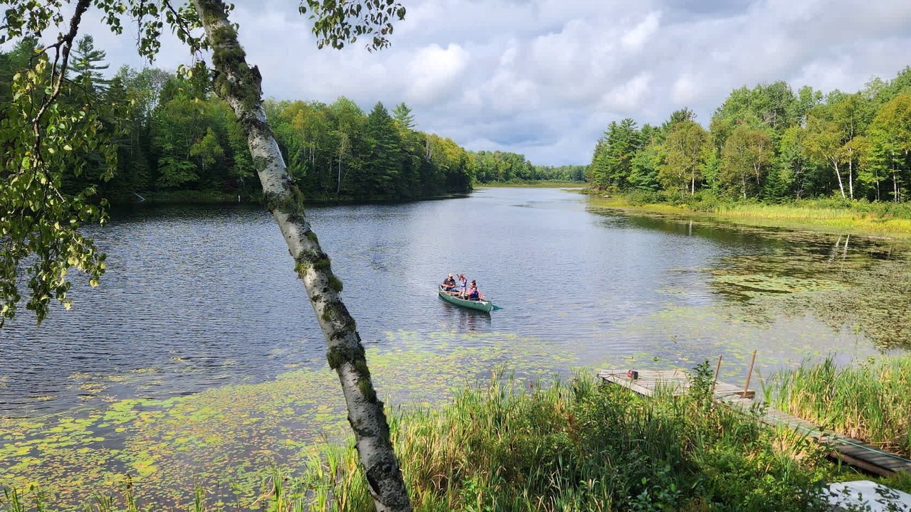 Photo of Others in North Penobscot