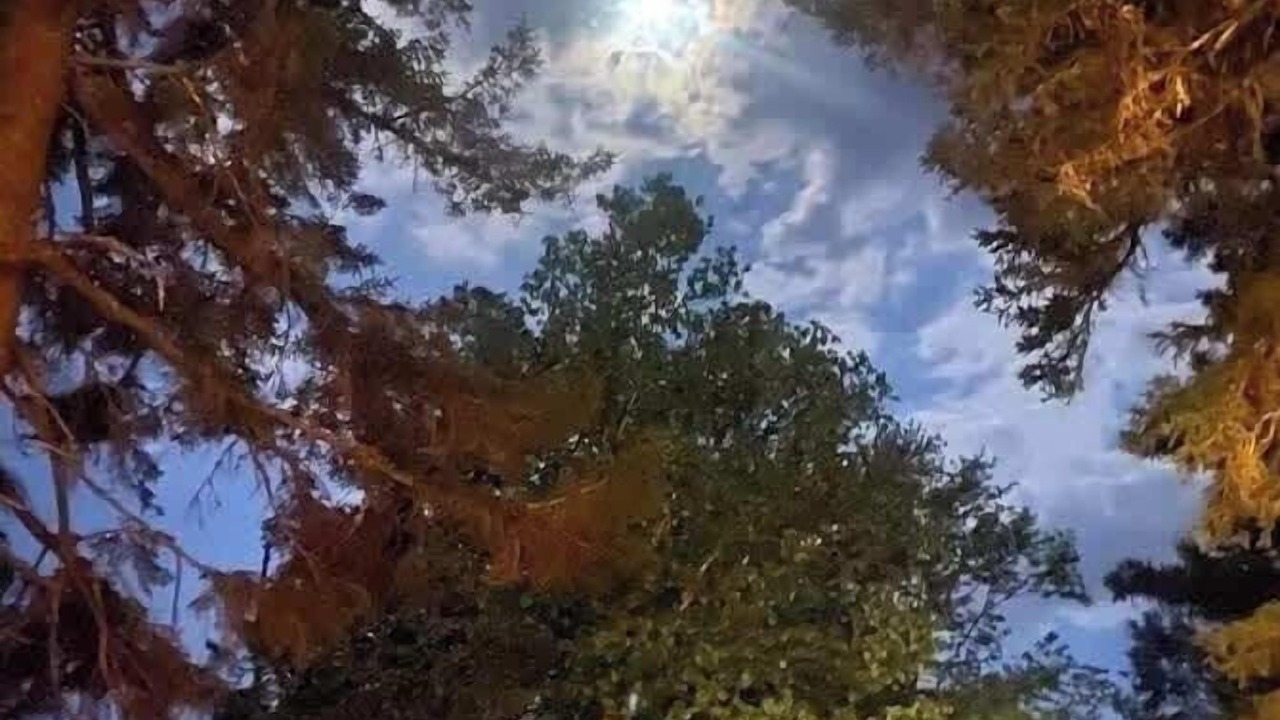 Photo of Others in Sullivan