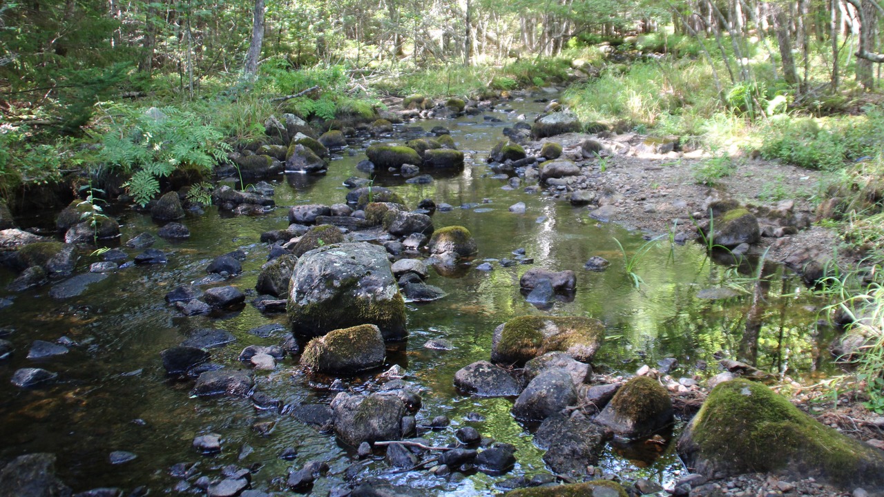 Photo of Others in Mount Desert