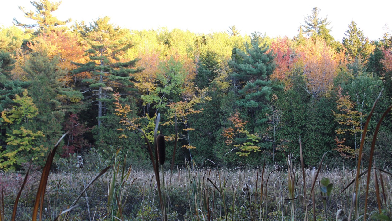 Photo of Others in Mount Desert