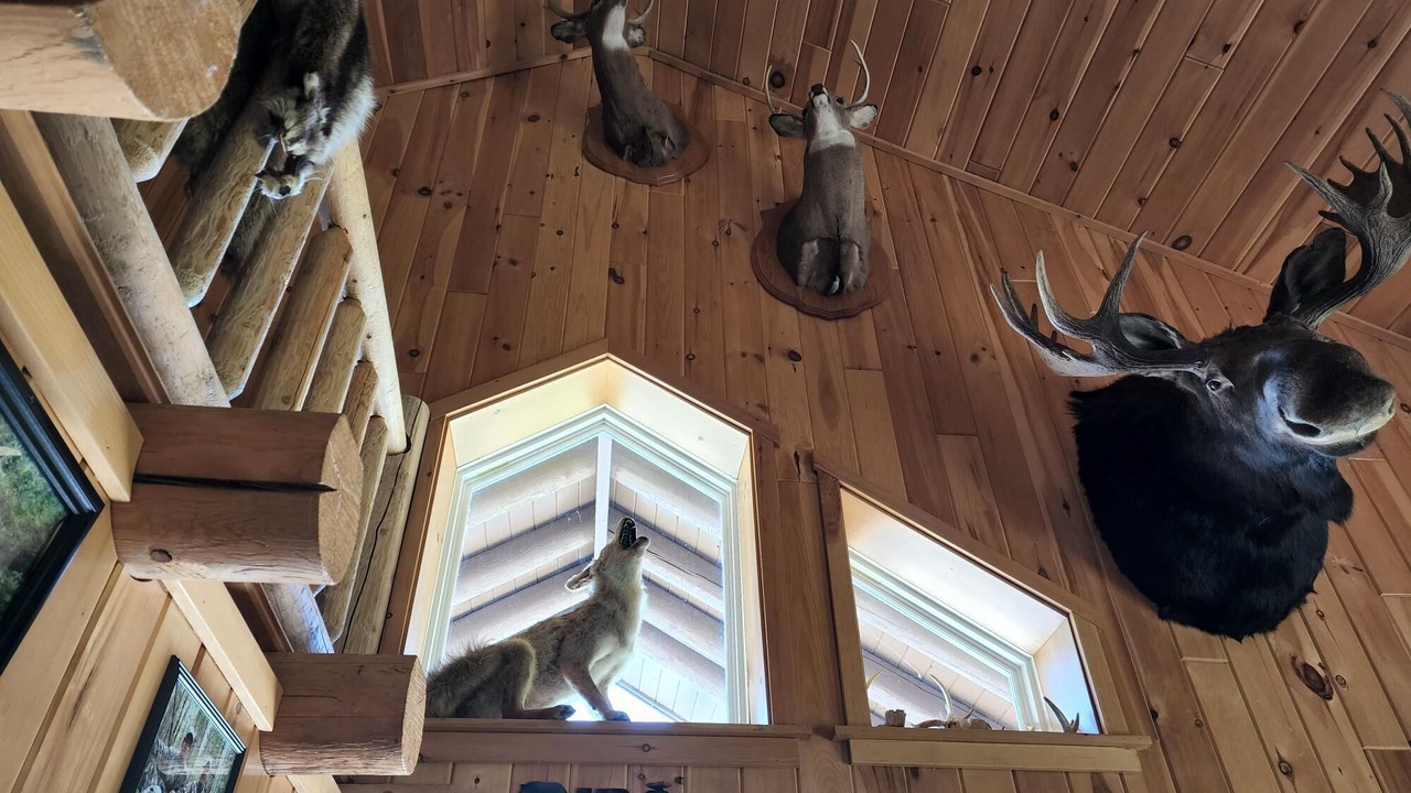 Photo of Others in Caribou