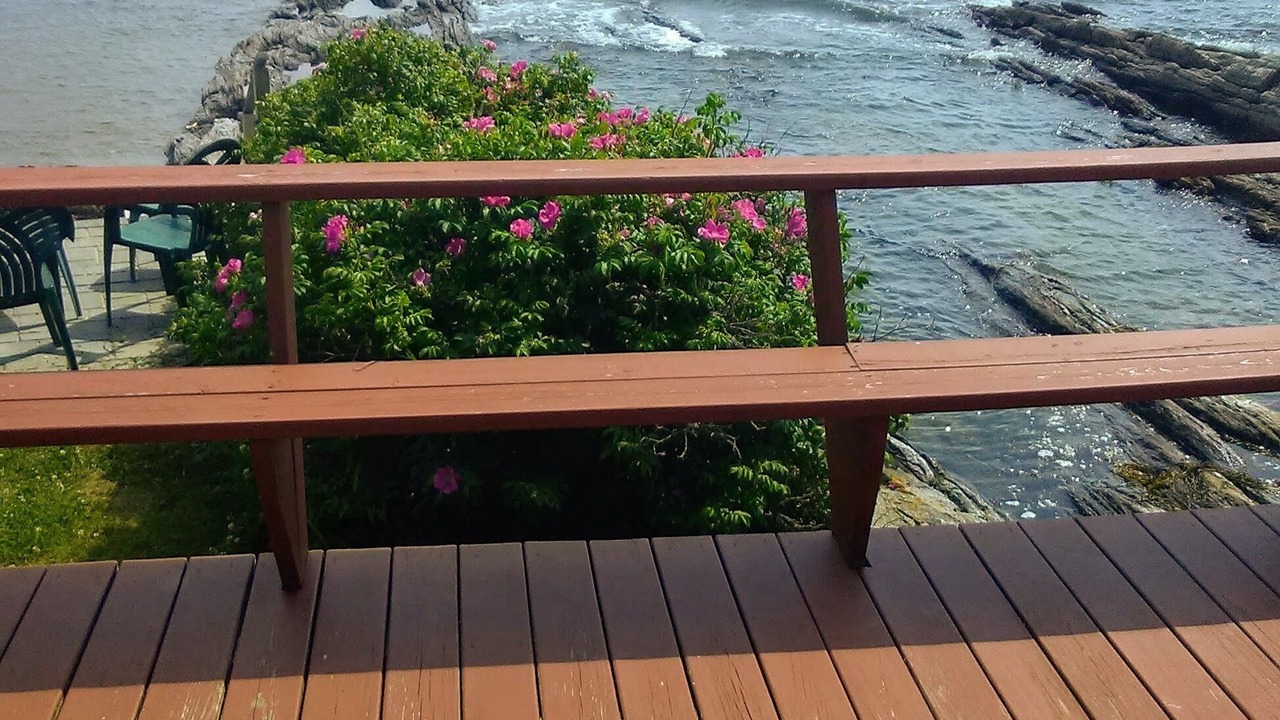 Photo of Outdoor in Sebascodegan Island