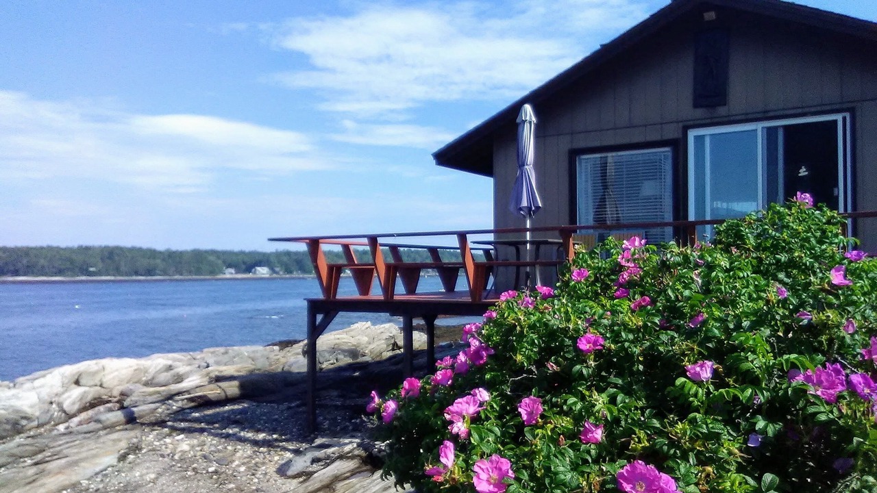 Photo of Outdoor in Sebascodegan Island