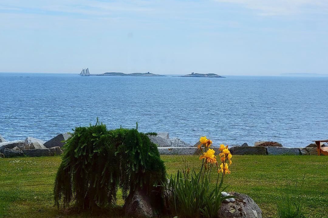 Photo of Others in Port Clyde